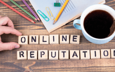 Online Reputation Management for E-Commerce Brands